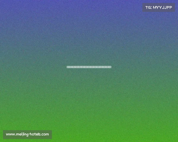 上海足球今日赛事前瞻申花激战国安海港对阵恒大精彩对决不容错过