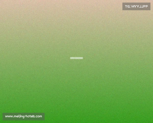 中国女排今天赛事直播